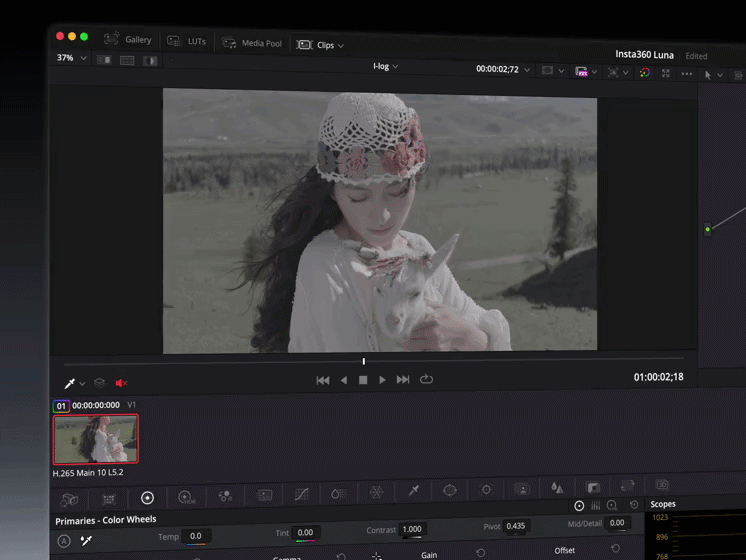 GIF showing the professional workflow using 10-bit. 